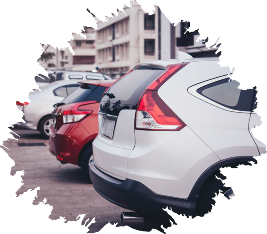 Purpose-Built Vehicles Designed Around Comfort & Accessibility