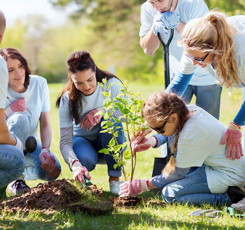 Innov Community Participation
